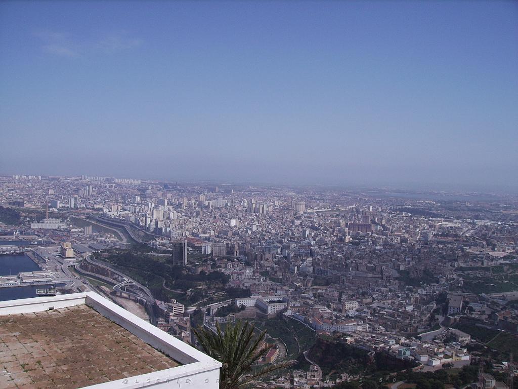 ORAN SANTA CRUZ (229).jpg - DIGITAL IMAGE 